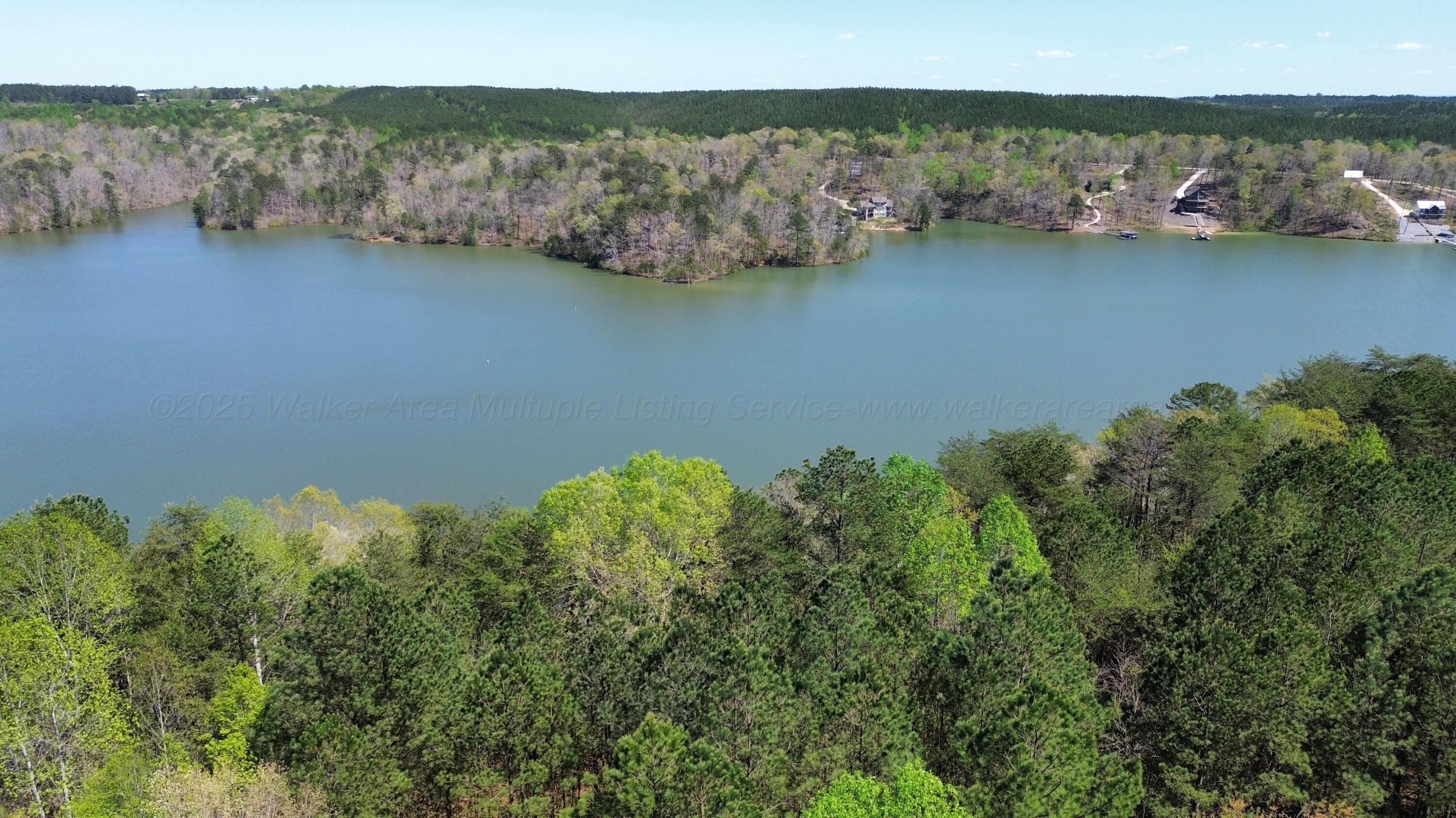 Image 1: aerial