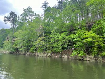 LOT 4 CLEAR CREEK RETREAT
