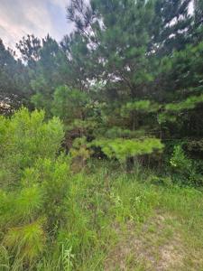 11 HIGHLAND SHORES DRIVE