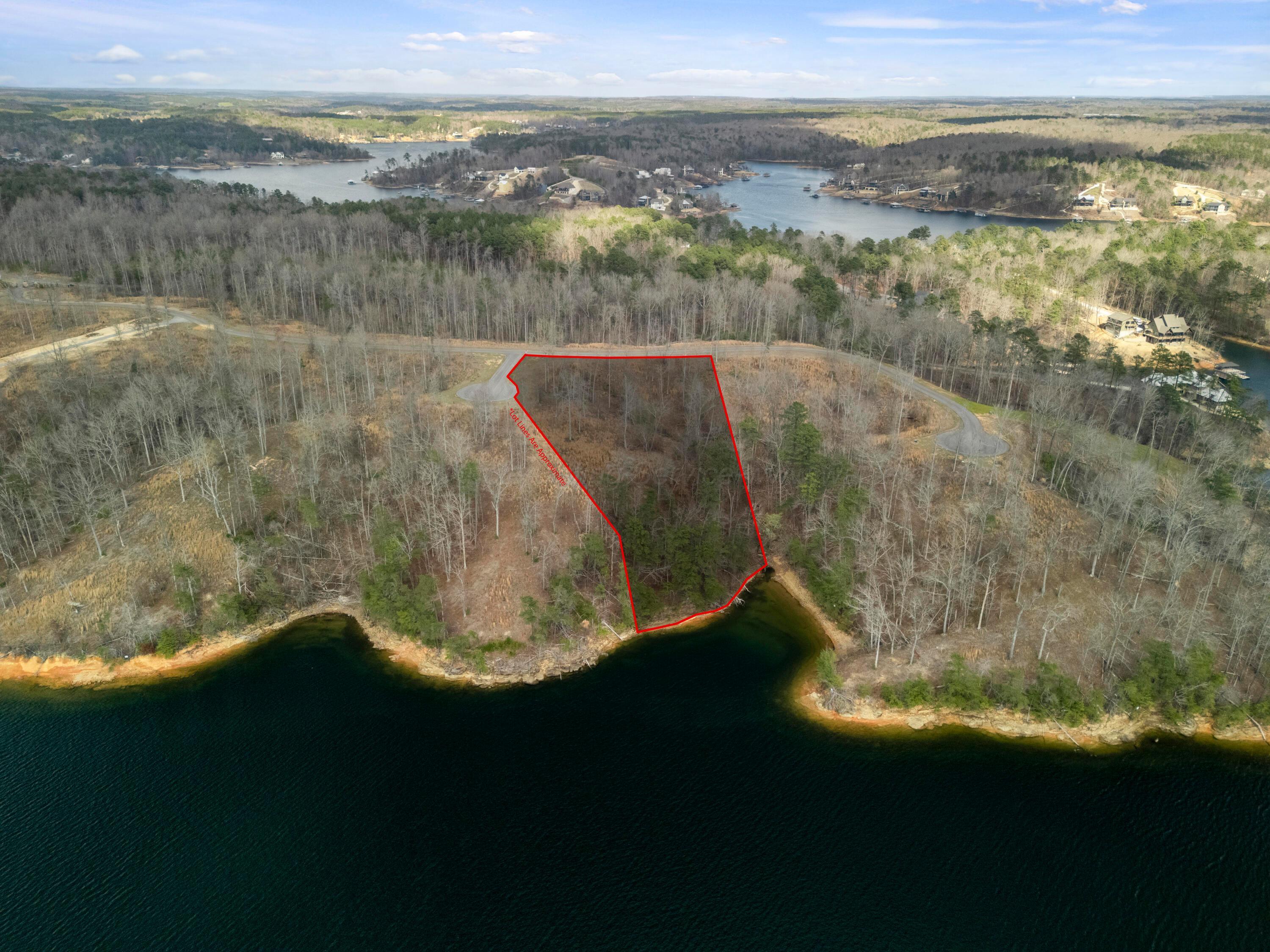 Image 3: Lot 12