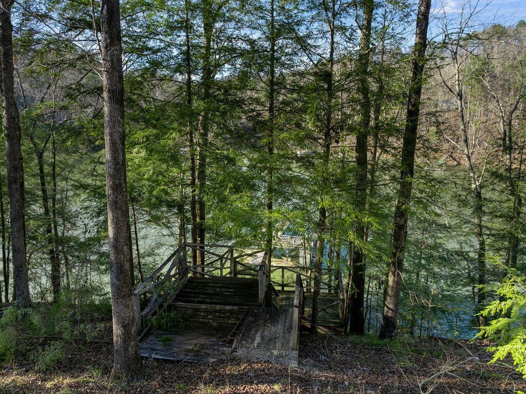 Image 3: DJI_20260317170310_0198_D-Edit