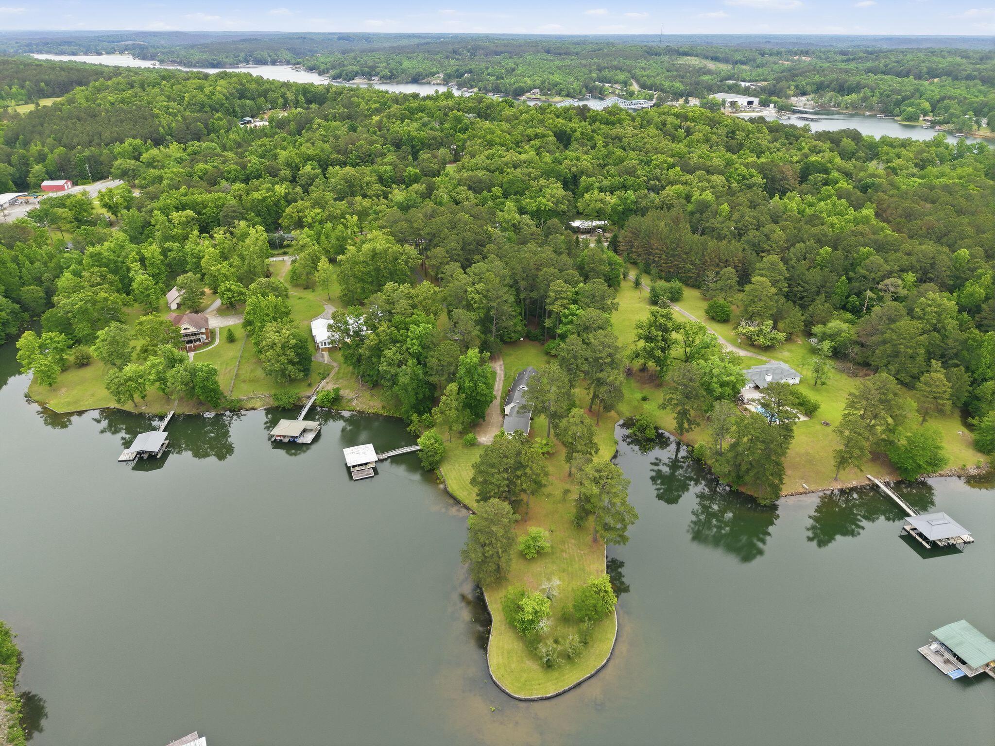 Image 1: Aerial