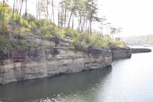 LOT 8 BEAR BRANCH COVE