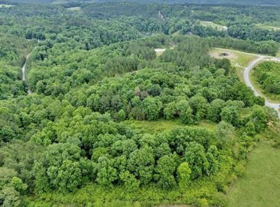 LOT 36 GRANDVIEW SHORES