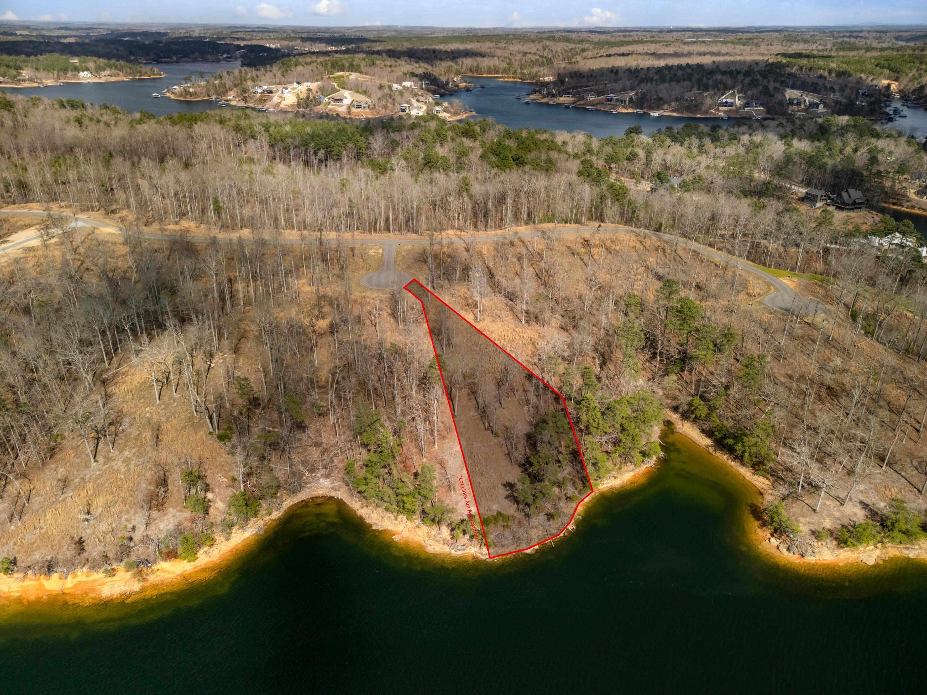 Image 3: Lot 11