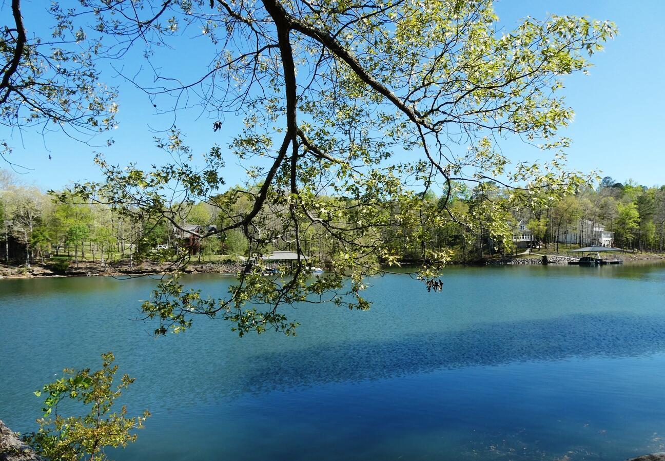 Image 1: View of lake from the shoreline