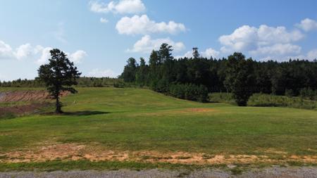 LOT 53 SIPSEY SHORES