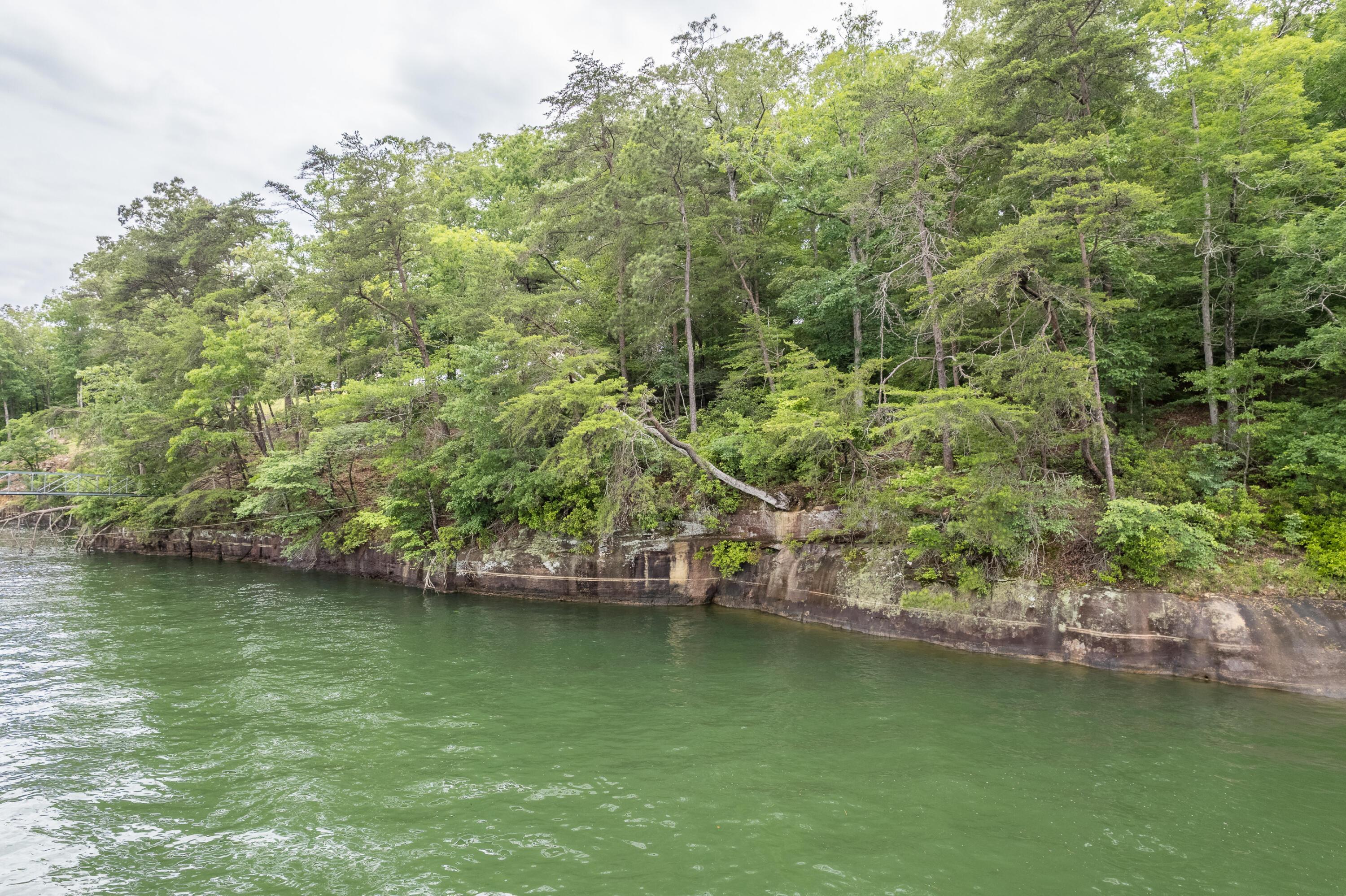 Image 4: Lakeside/Shoreline