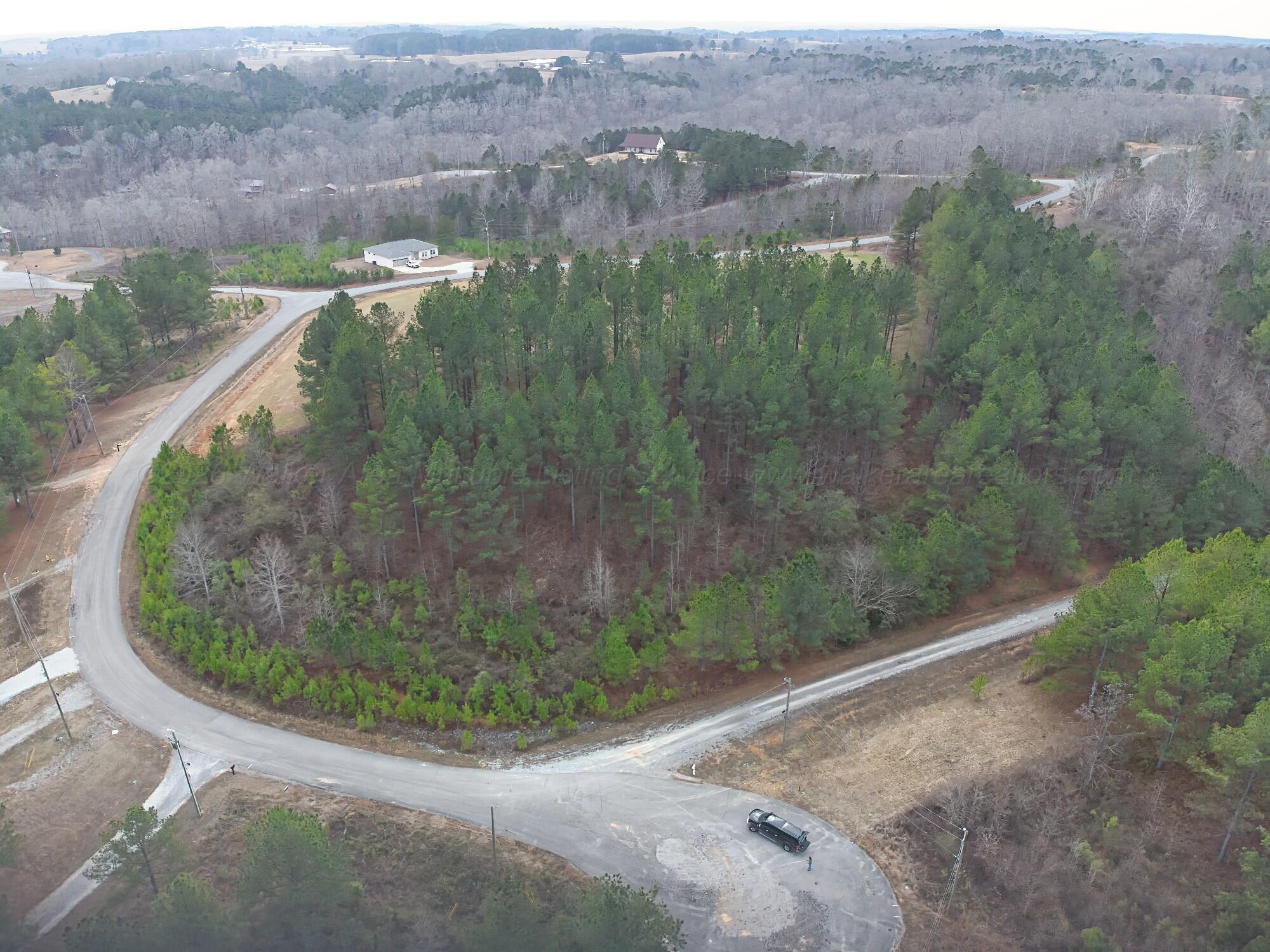 Image 2: Lot 36 Grandview Shores_4