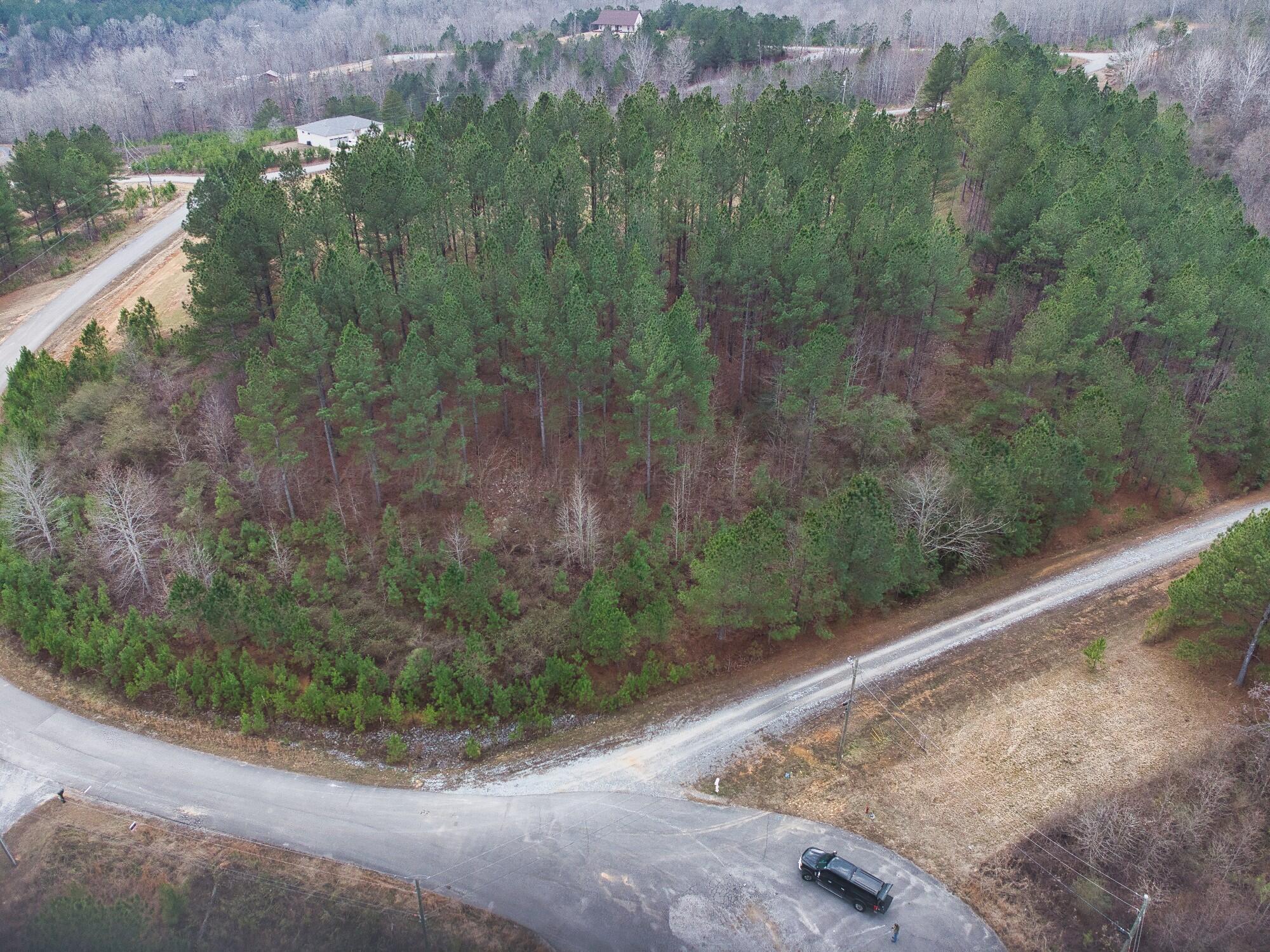 Image 3: Lot 36 Grandview Shores_3