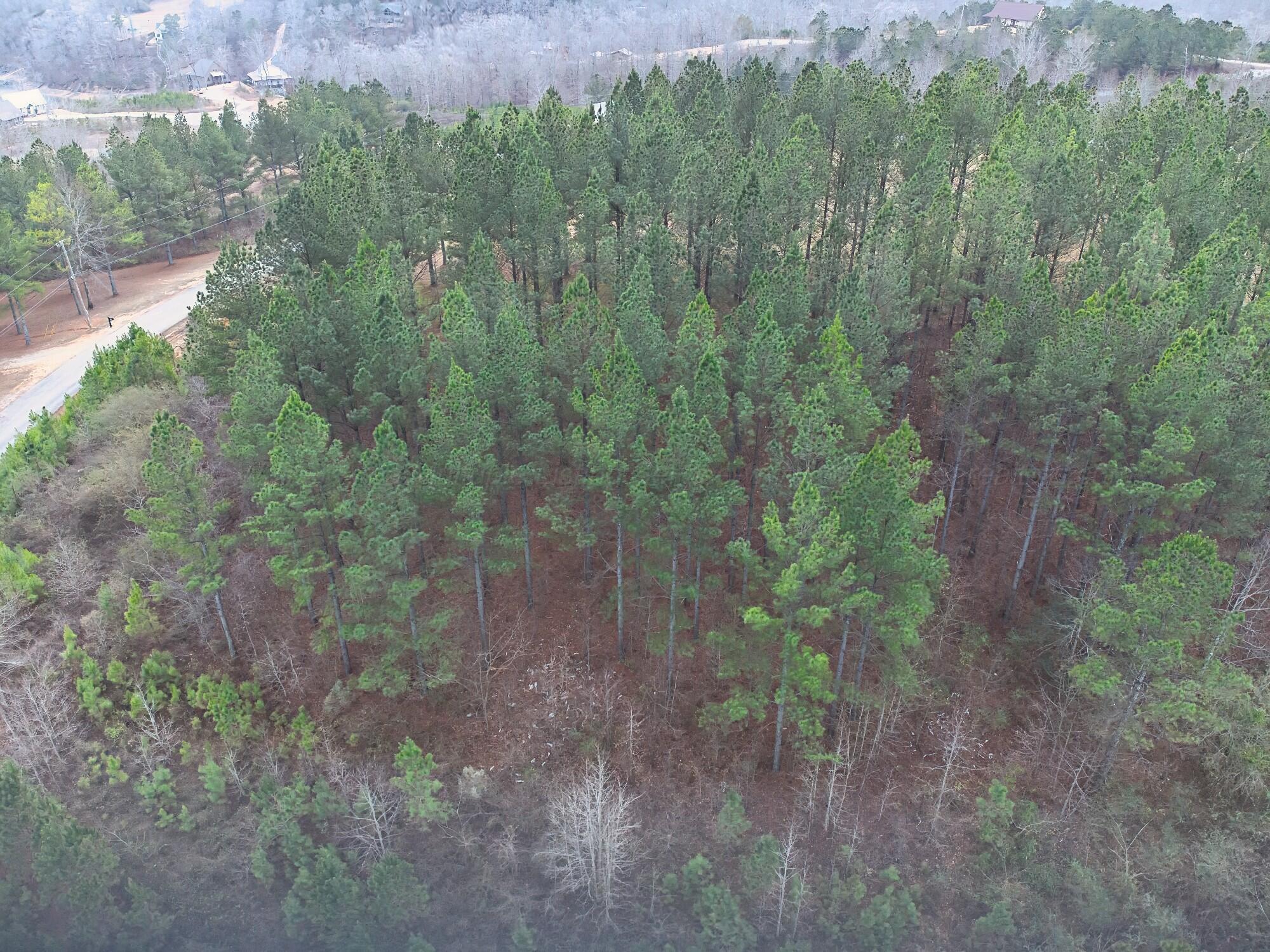Image 4: Lot 36 Grandview Shores_2