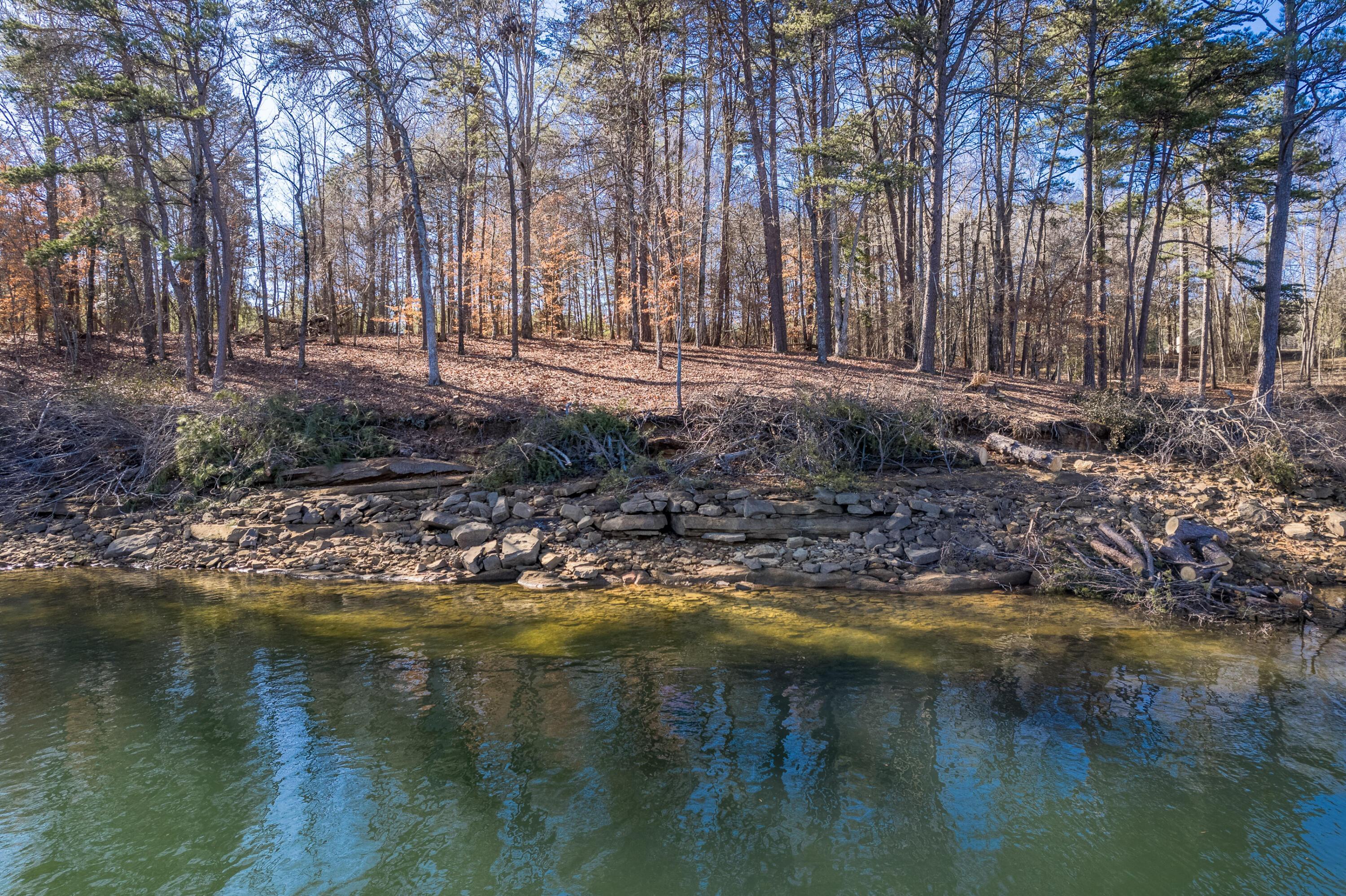 Image 2: Very Gentle Lot