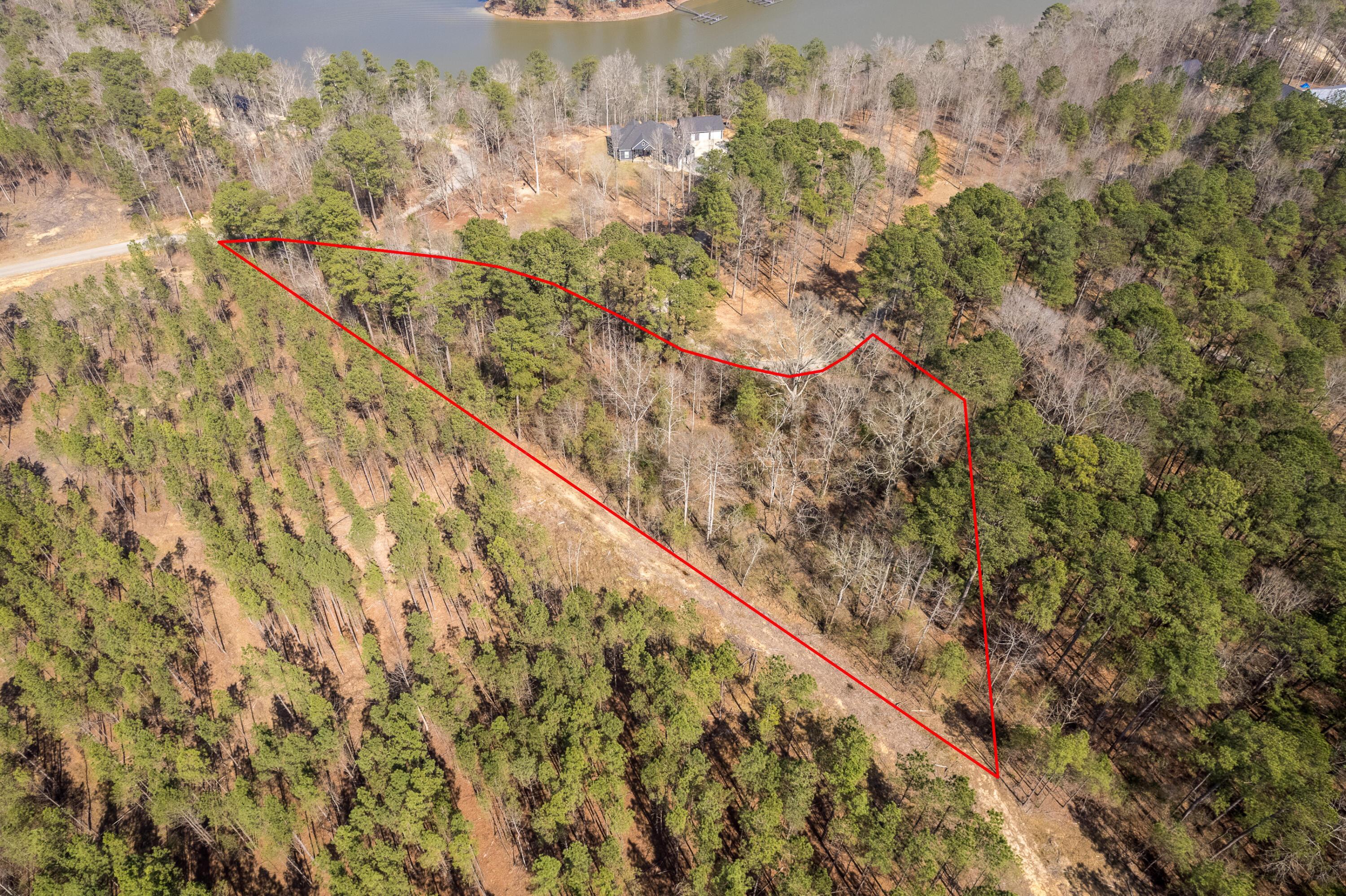 Image 2: Aerial Lot Lines