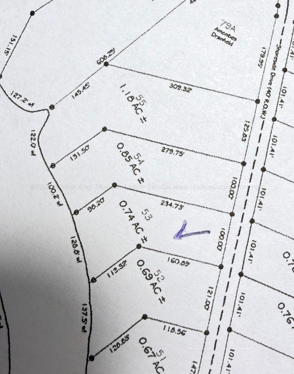 Image 3: LOT53