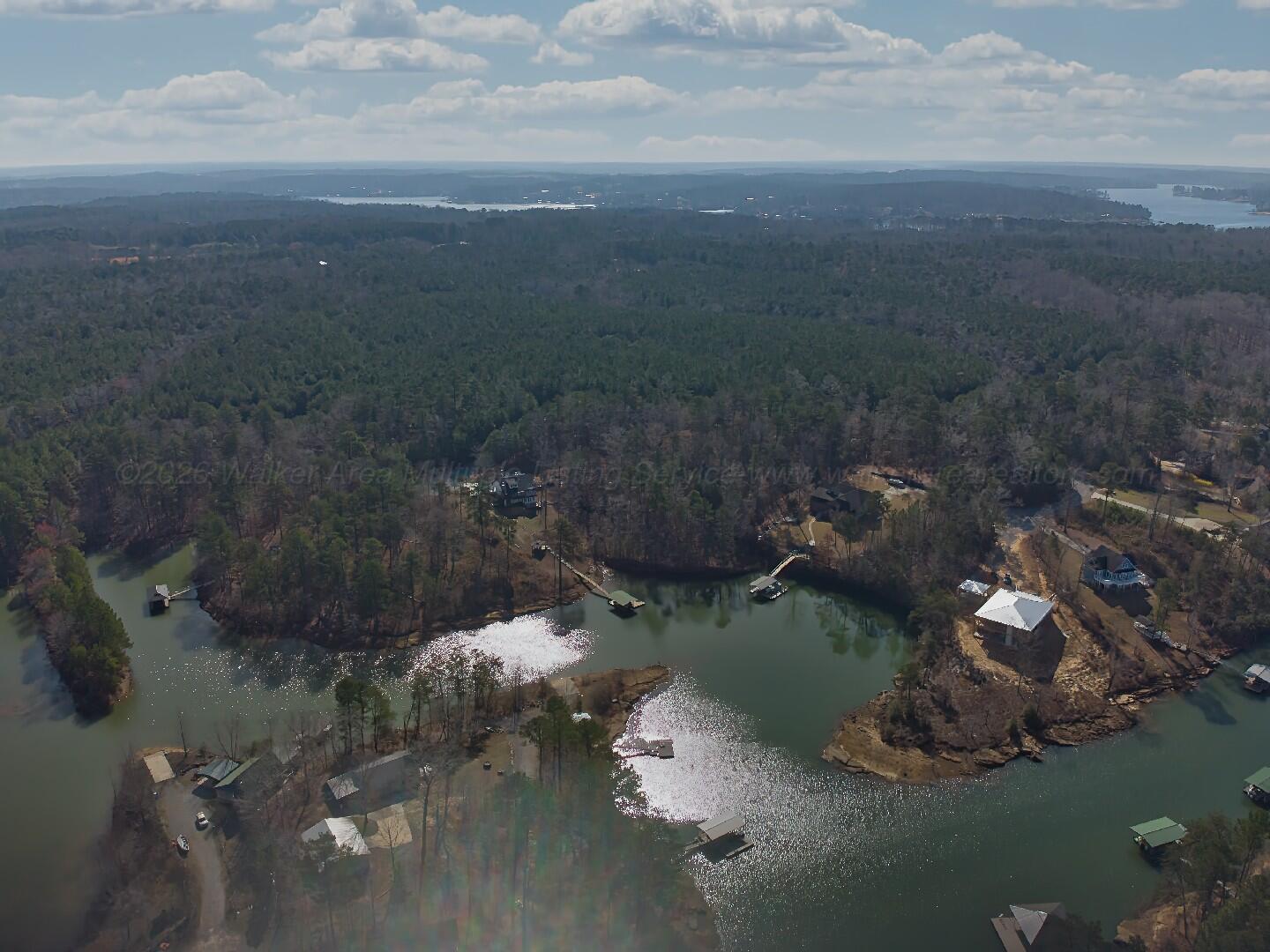 Image 3: Lot 20 Bear Branch_7