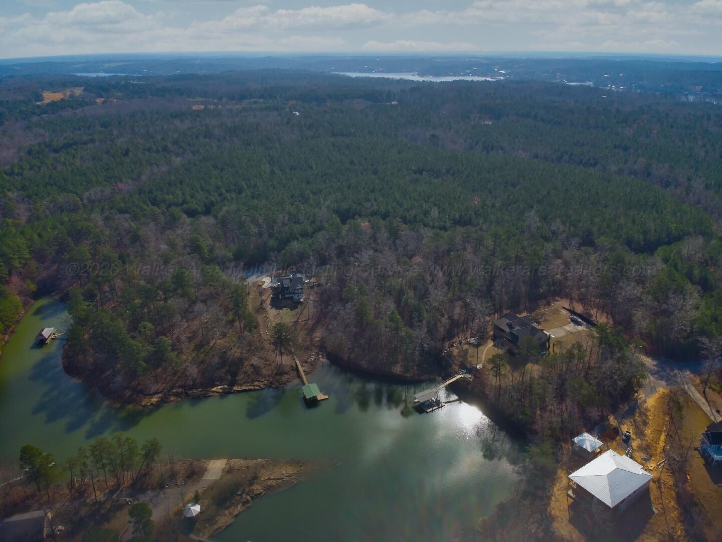 Image 4: Lot 20 Bear Branch_6