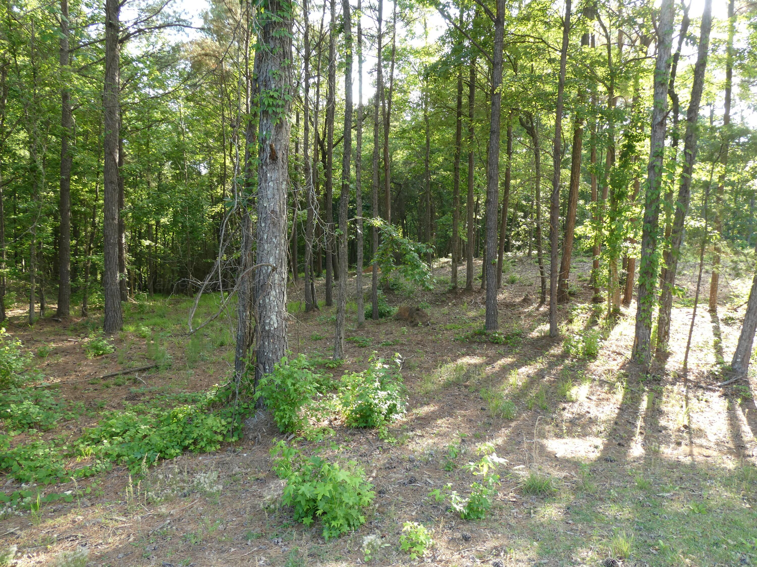 Image 2: Lot 75 view 2