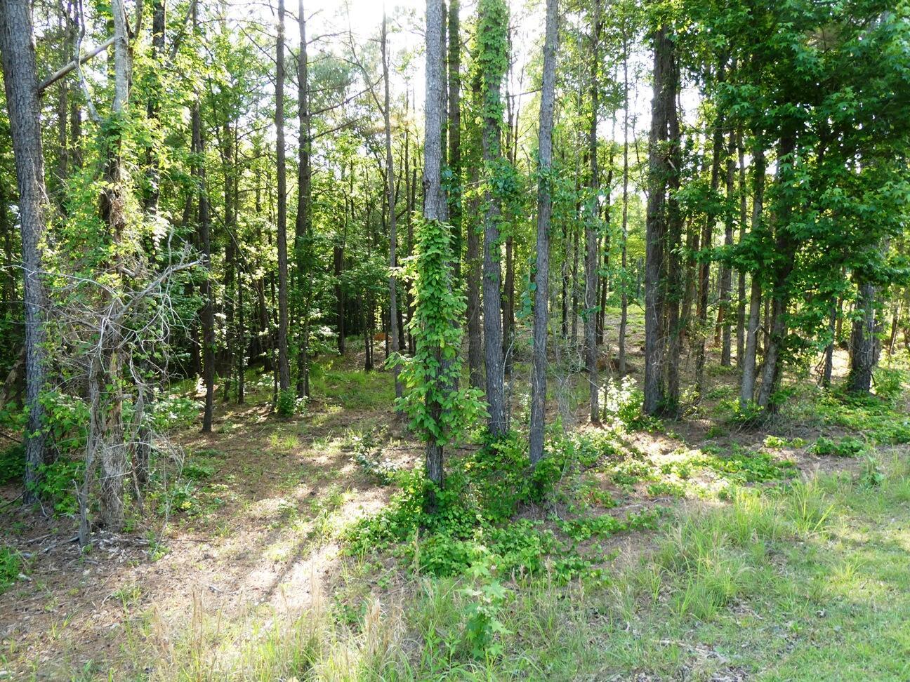 Image 3: Lot 75 view 3