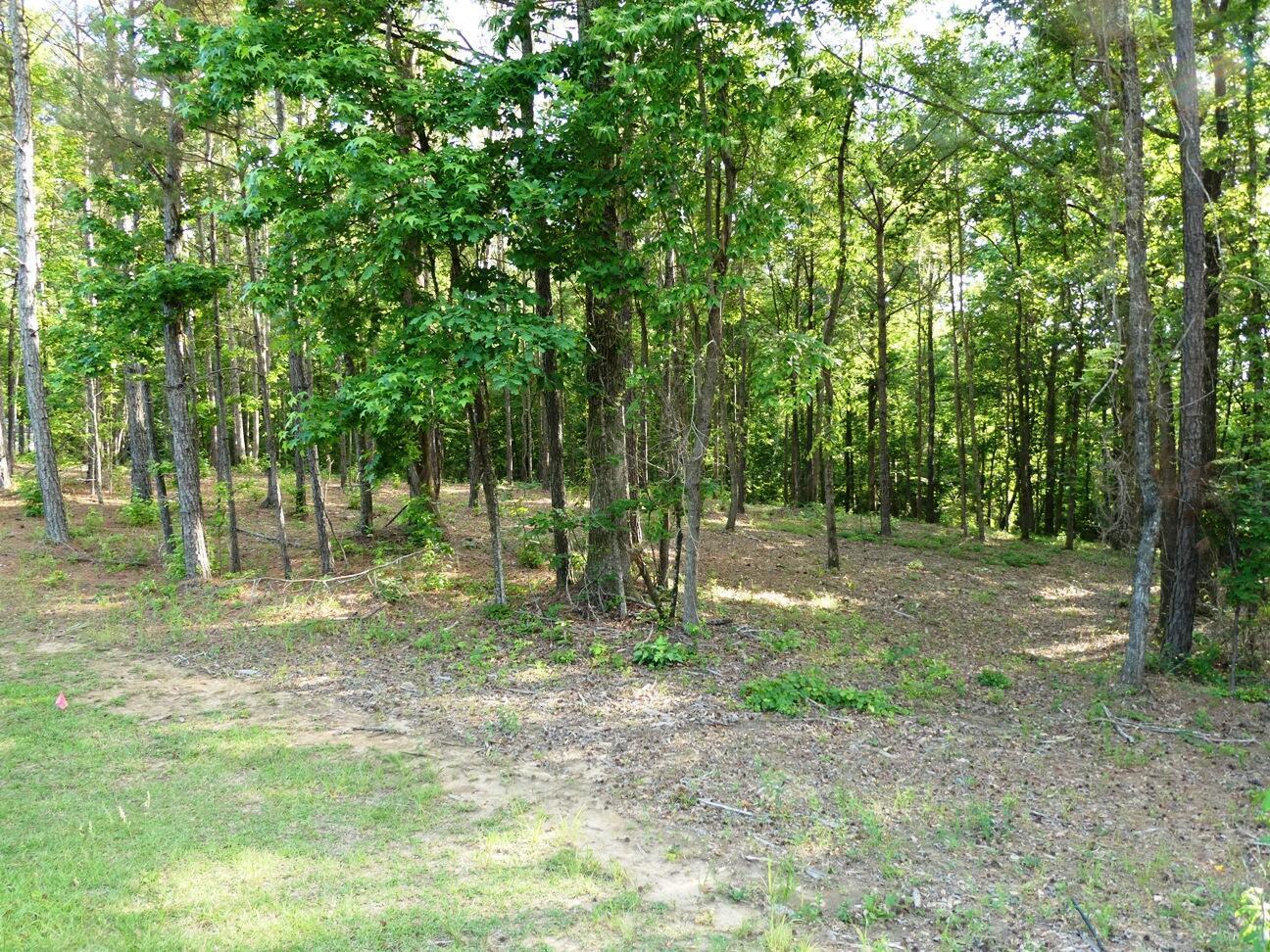 Image 4: Lot 75 view 4