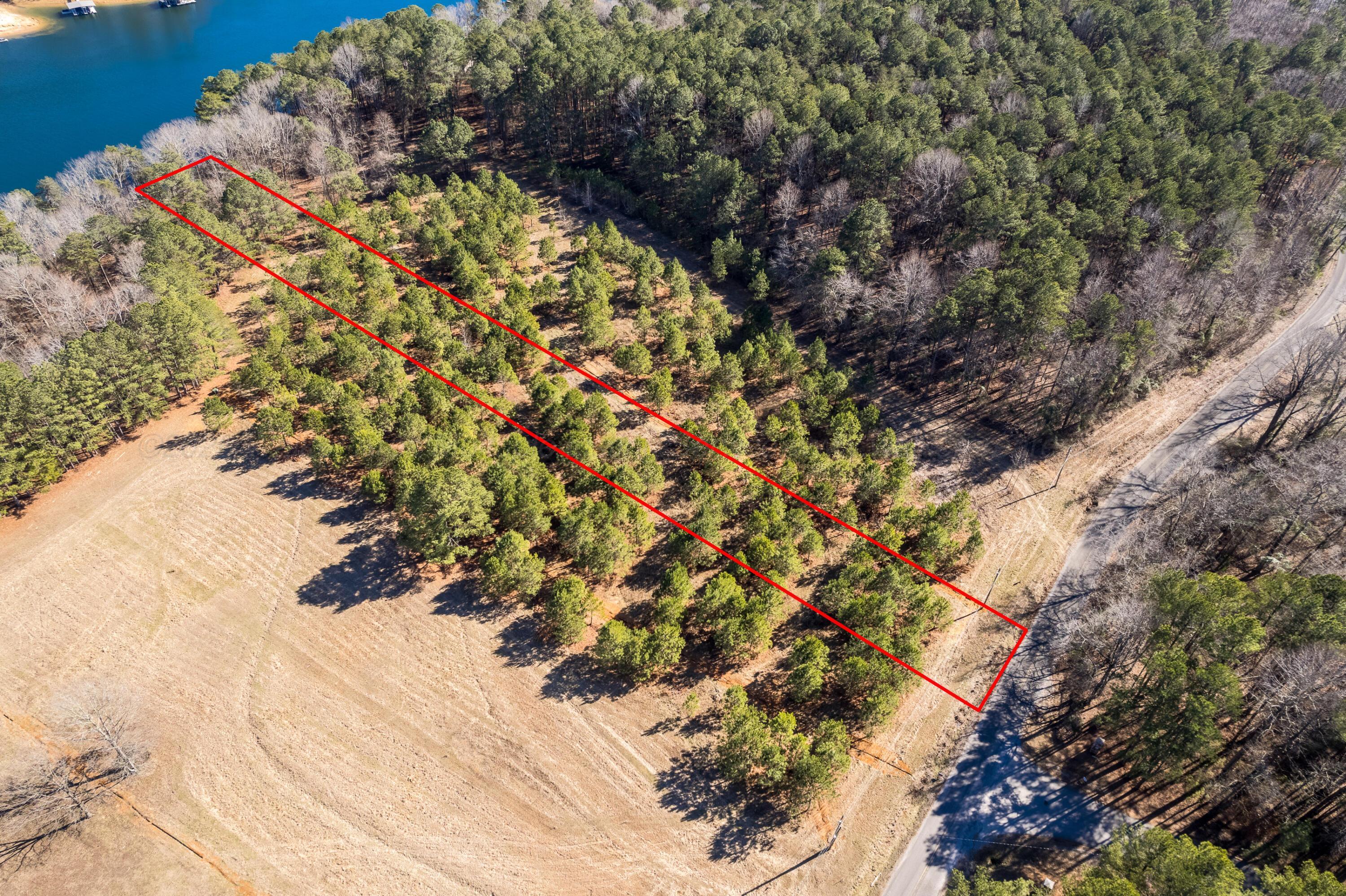 Image 3: Aerial Lot Lines