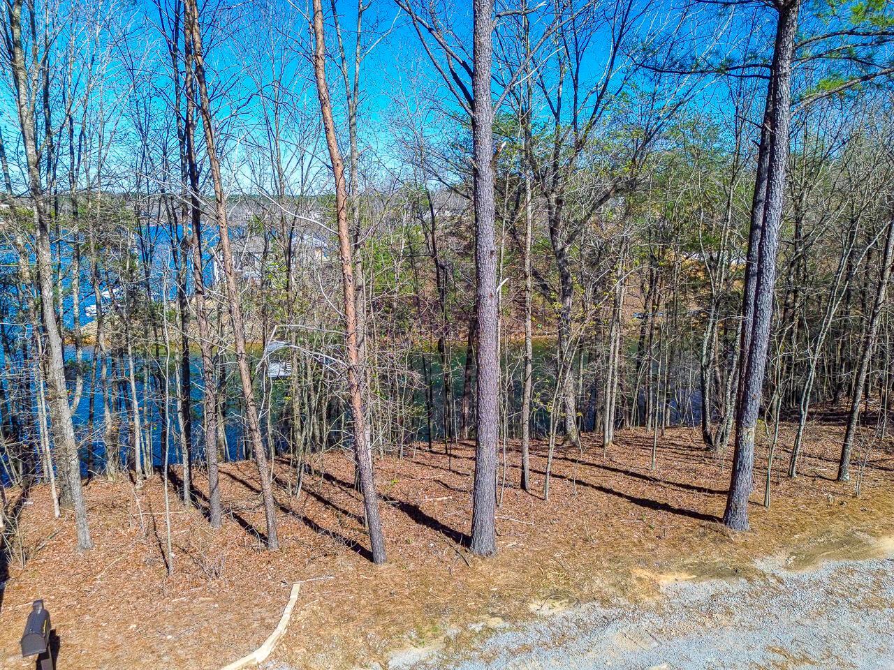 Image 4: 88 County Road Bremen AL 35033 Lot1