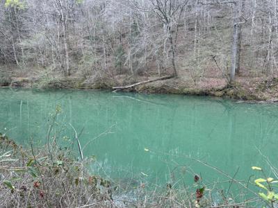 LOT 16 TURKEY BEND