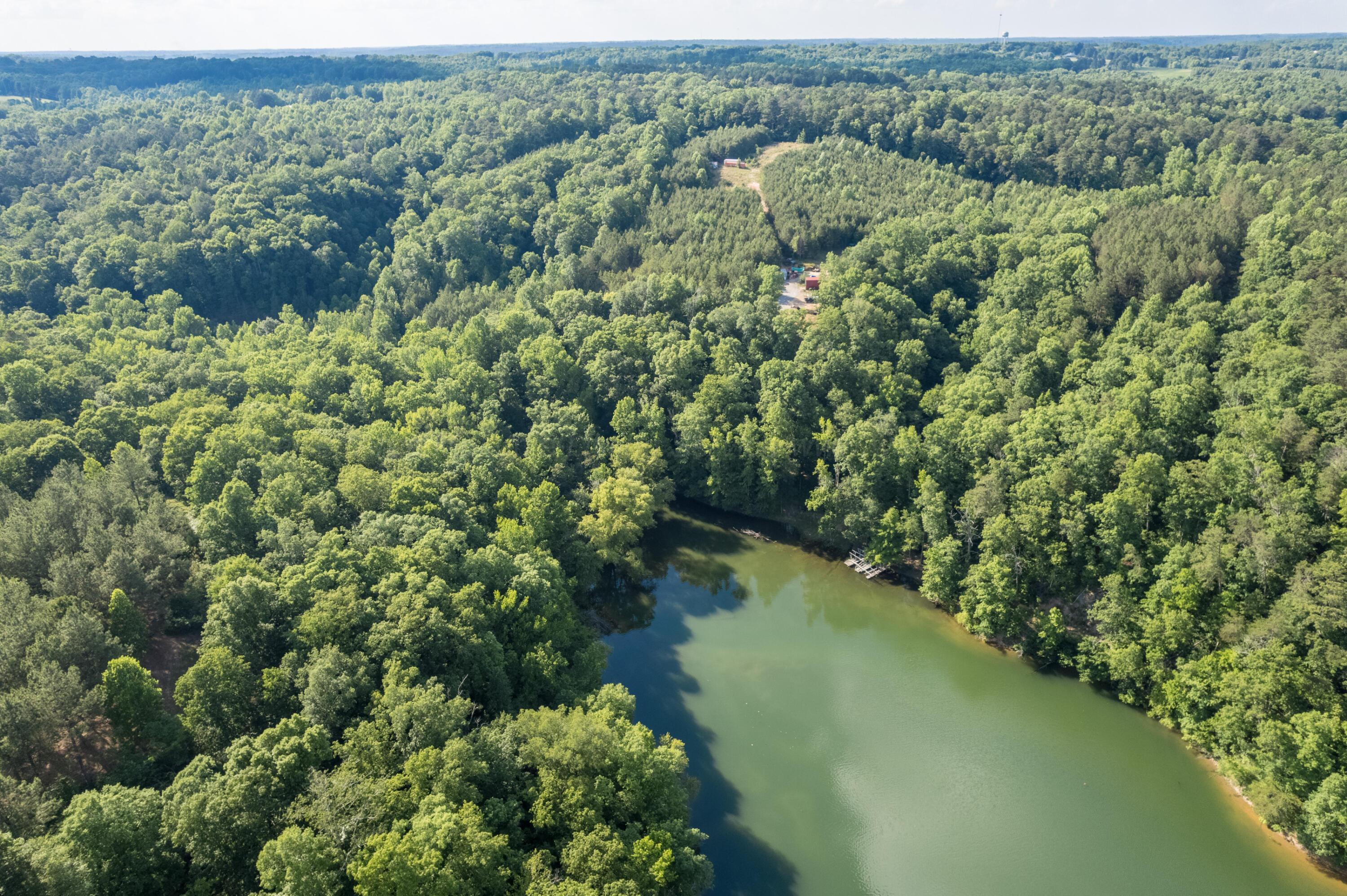 Image 2: Aerial
