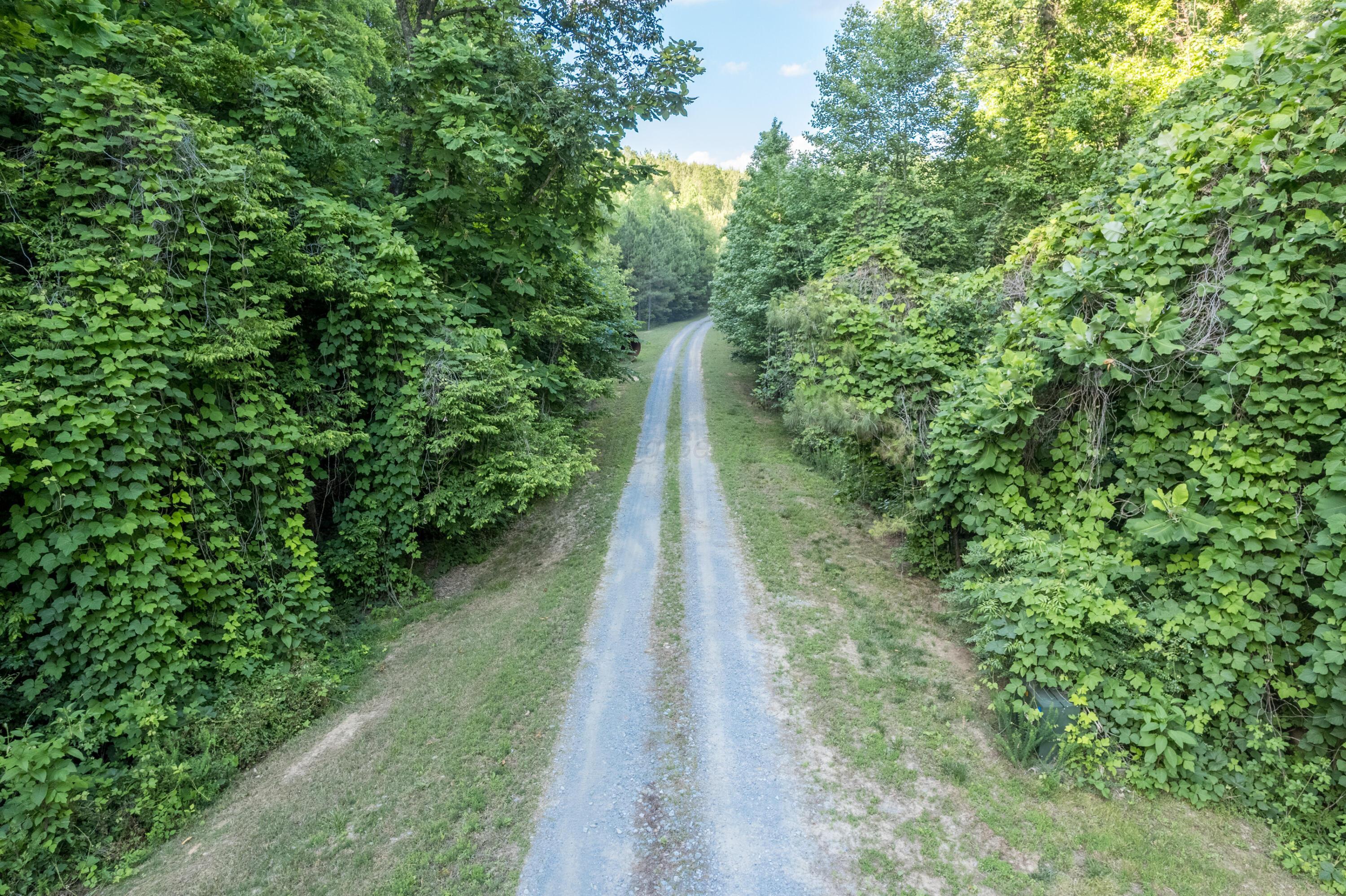 Image 3: Road System