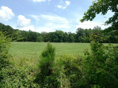 COUNTY ROAD 4006