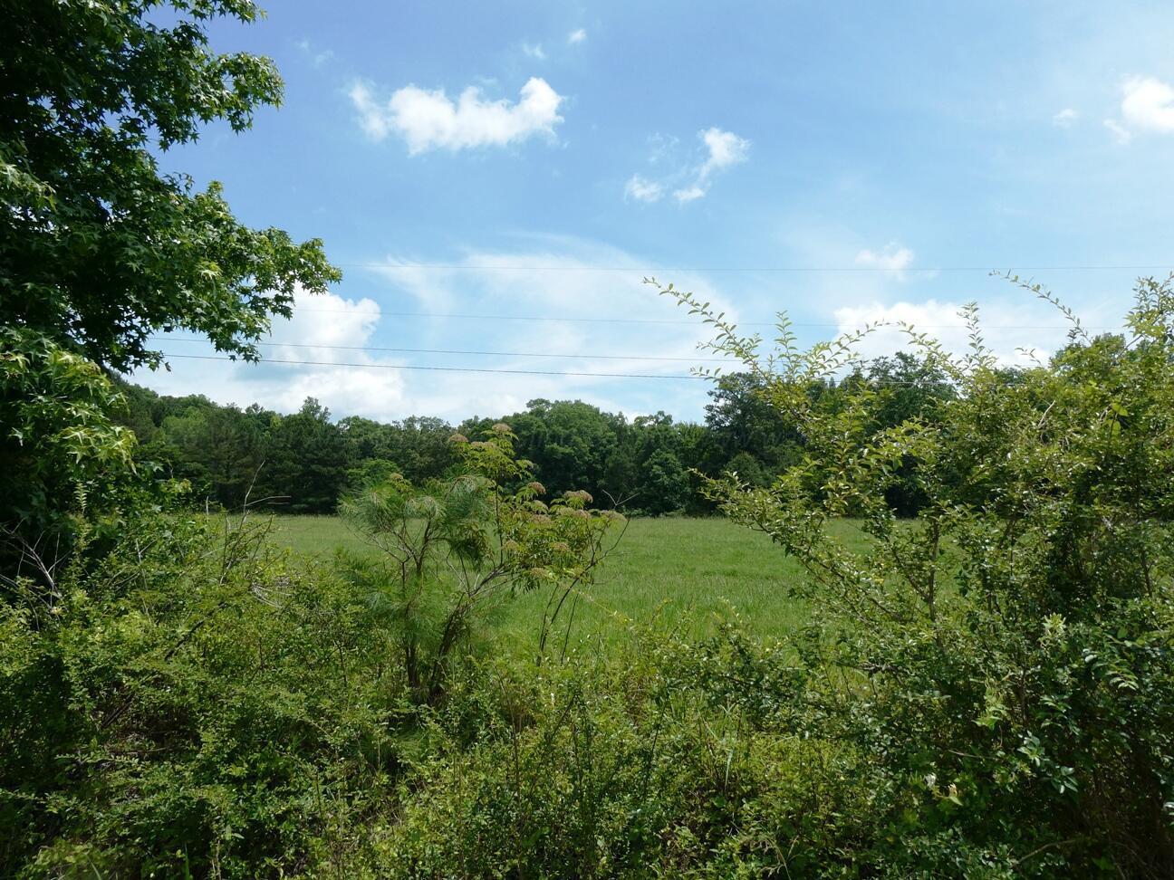 Image 2: View 2