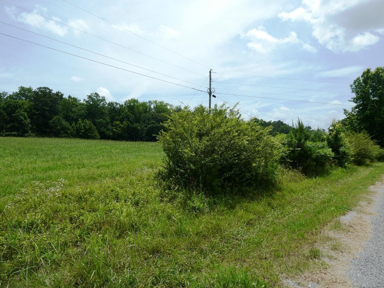 Image 4: View 4