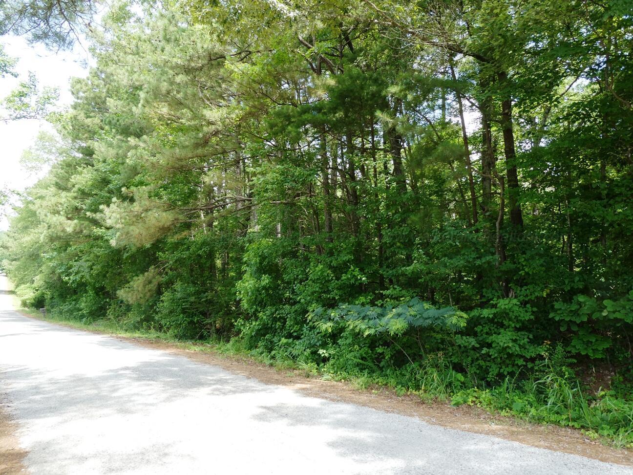 Image 3: Road Front view 2
