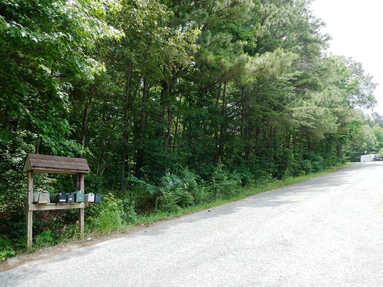 Image 4: Road Front view 4