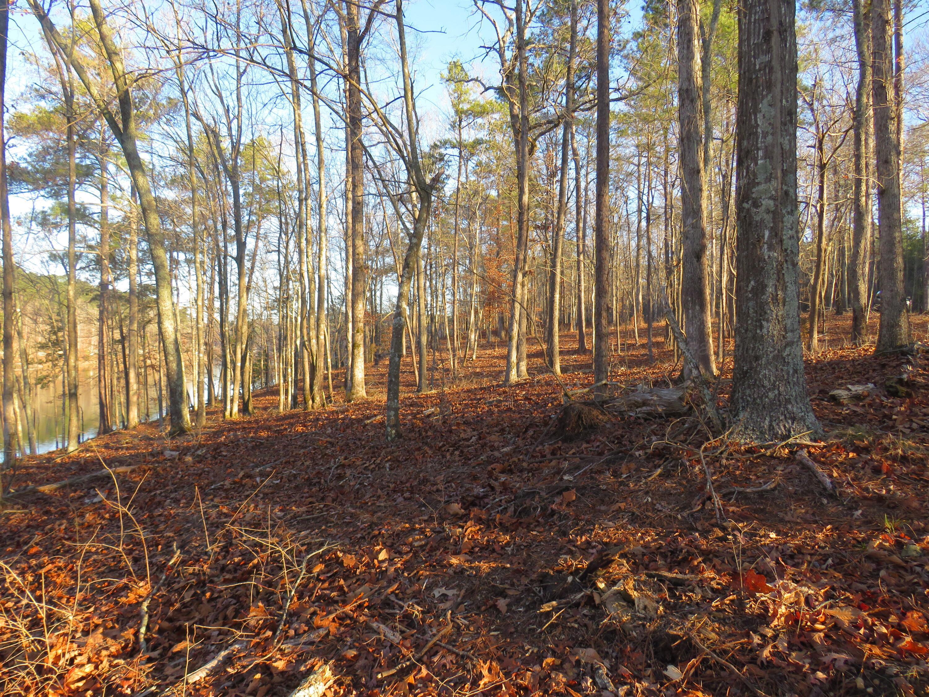 Image 2: Rock Ridge 3