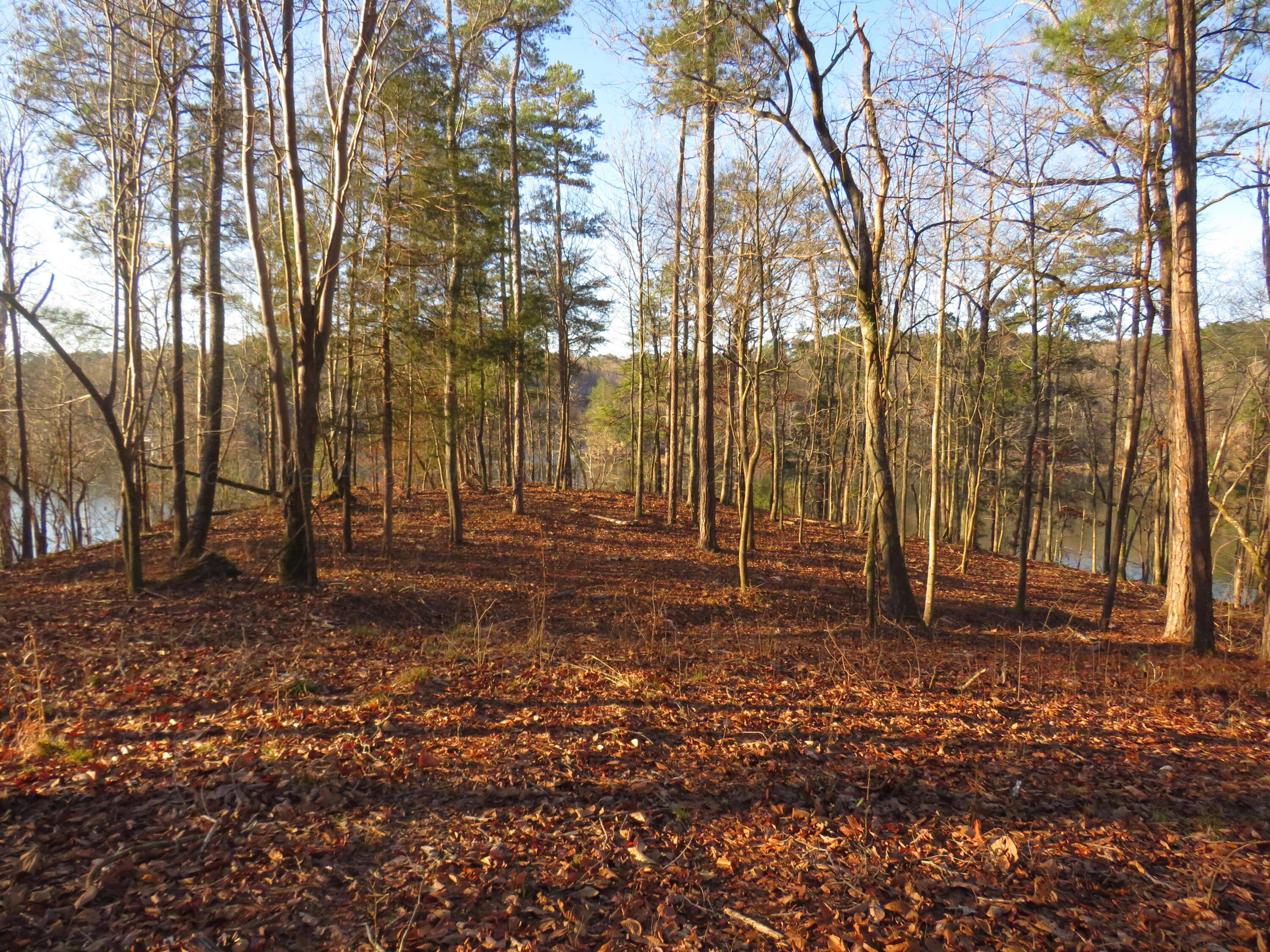 Image 3: IMG_0760