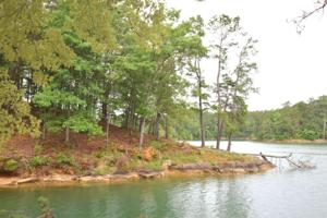 LOT 60&61 SIPSEY OVERLOOK