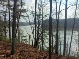 LOT 5 ROCK CREEK PENINSULA