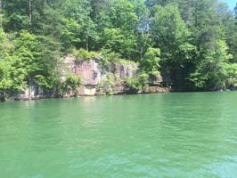 LOT 58-59 HIDDEN FALLS