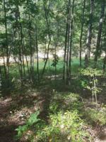 LOT 5 BLUE WATER POINTE DRIVE