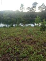 SIPSEY OVERLOOK