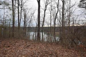 LOT 4 SECLUDED COVE