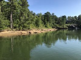 LOT 22 BEAR BRANCH Cove