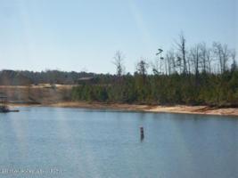 LOT 65 STARBOARD TACT