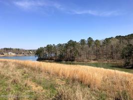 LOT 6 SIPSEY SHORES