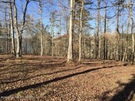 LOT 39 BRUSHY ESTATES