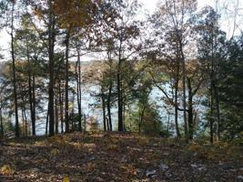 LOT 40 BRUSHY CREEK POINT
