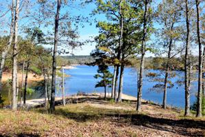 LOT 15 PENINSULA PHASE IV