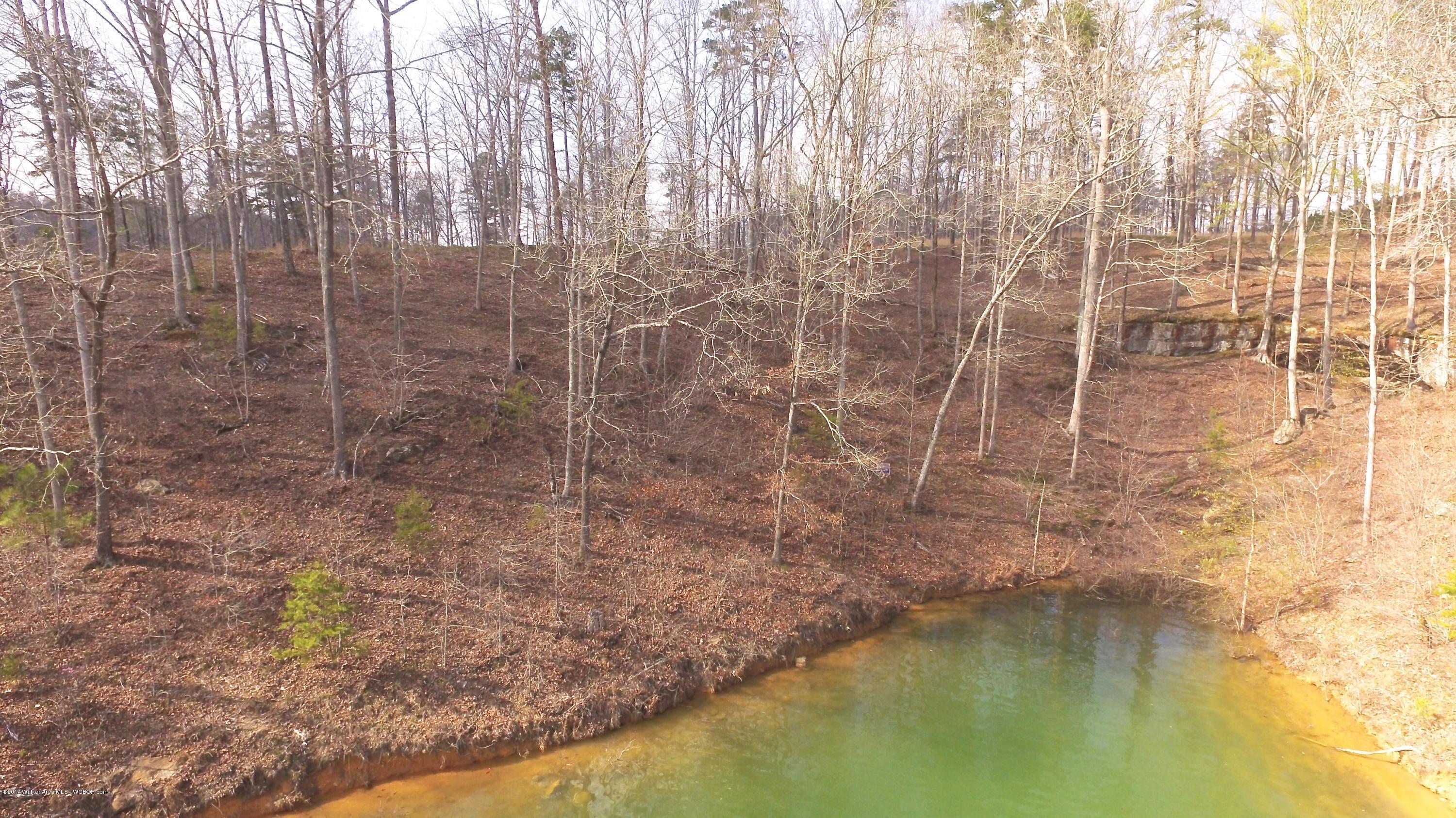 Image 3: DJI_0020
