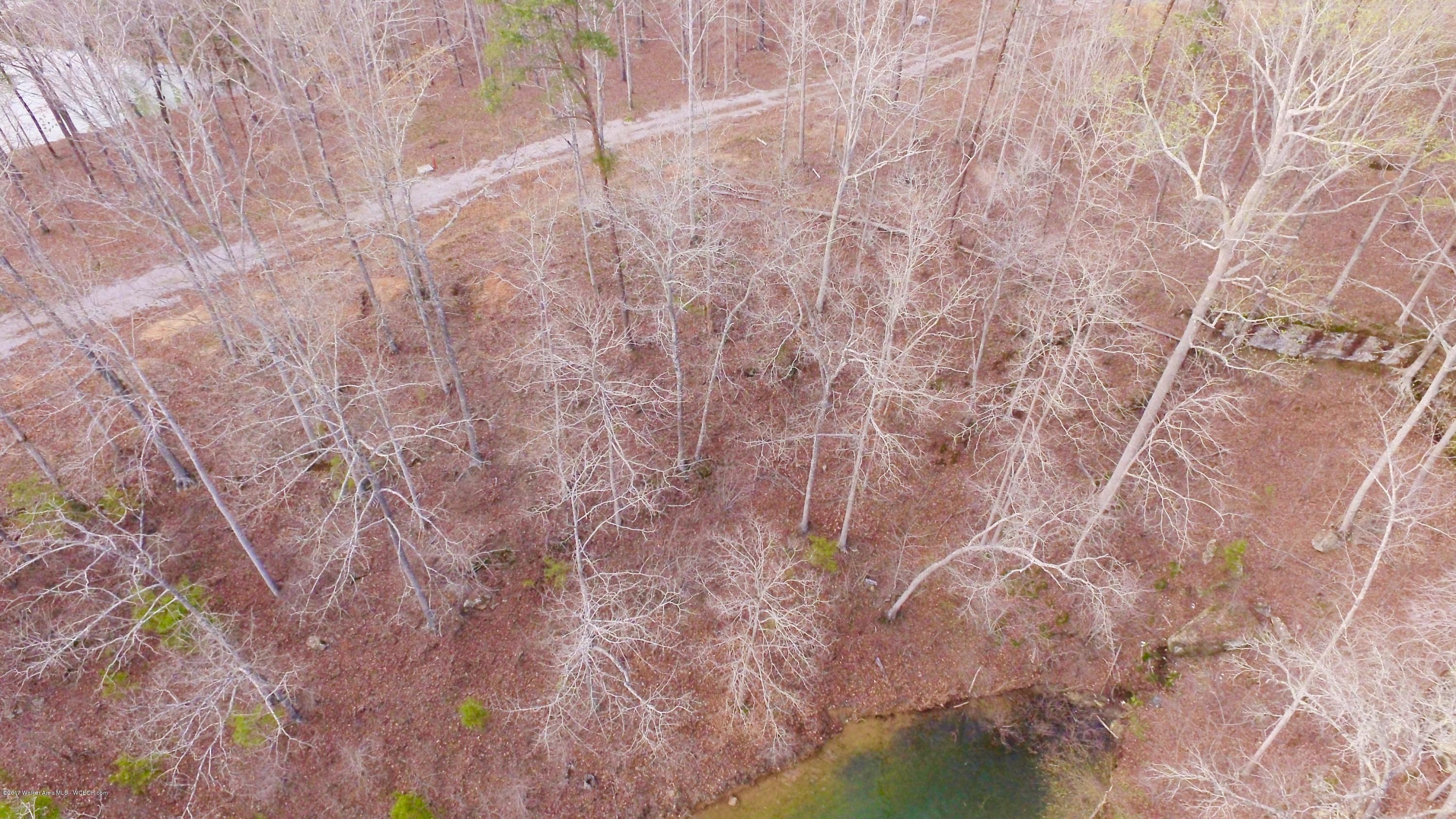 Image 4: DJI_0021