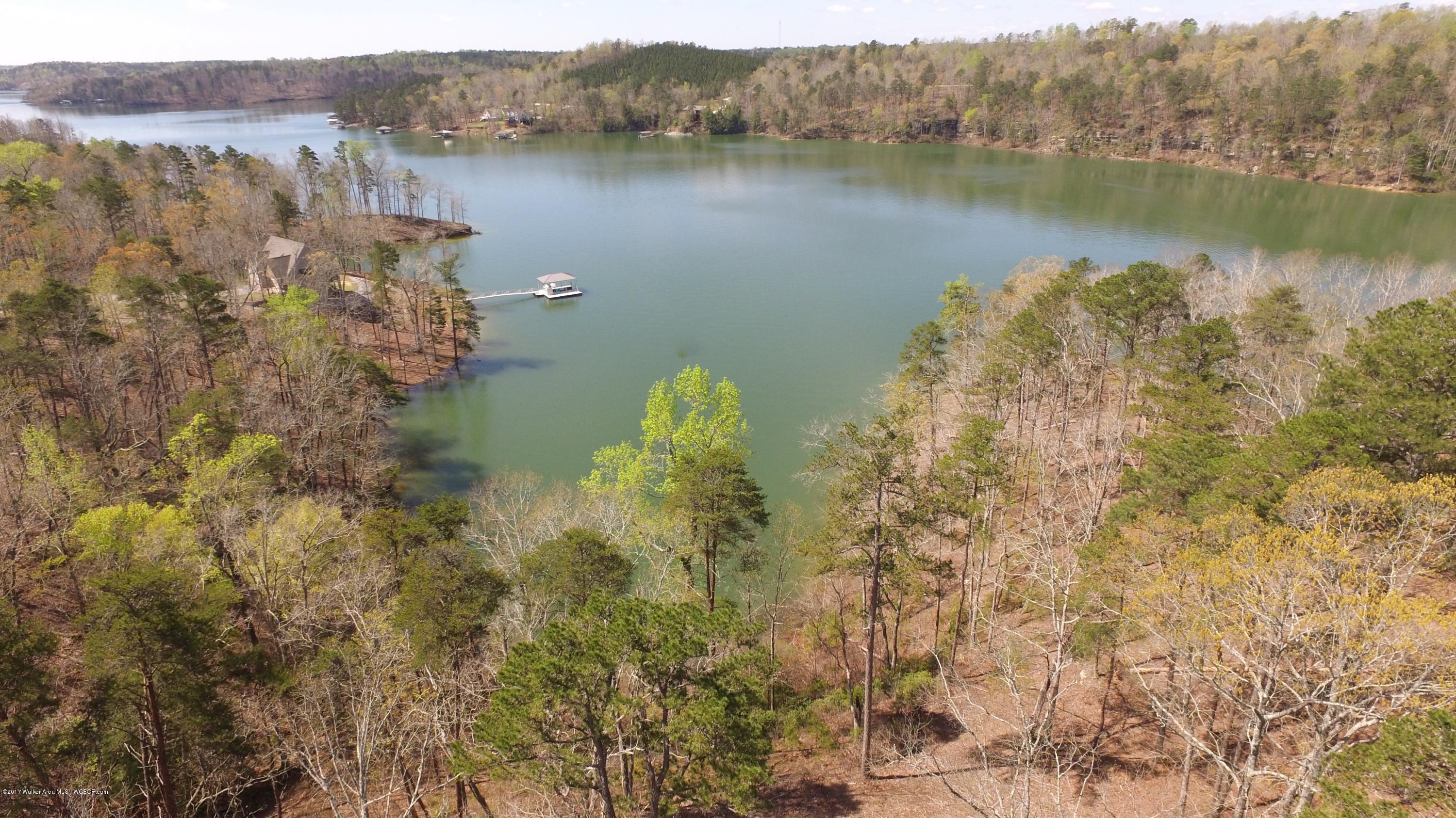 Image 2: DJI_0016